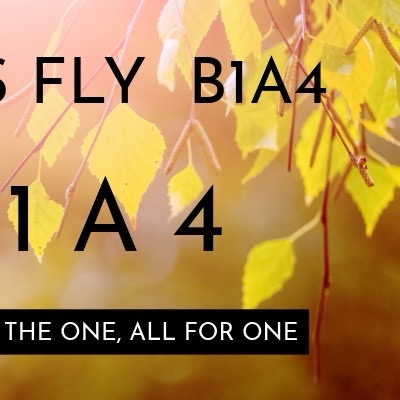 A moment captured by B1A4's fan