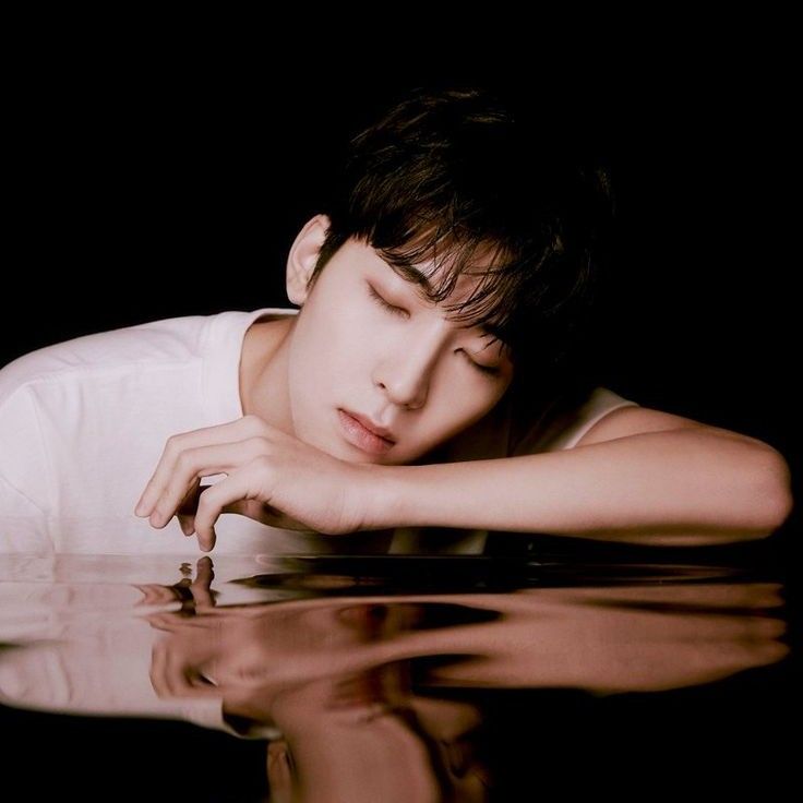 A moment captured by Wonwoo (SEVENTEEN)'s fan