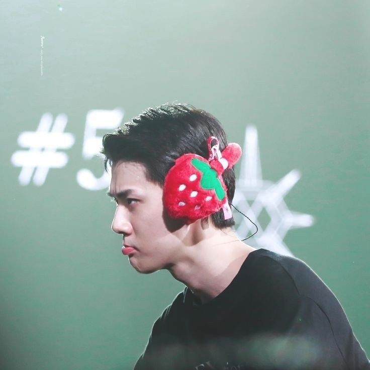 Recent activity shot of Sehun (EXO)