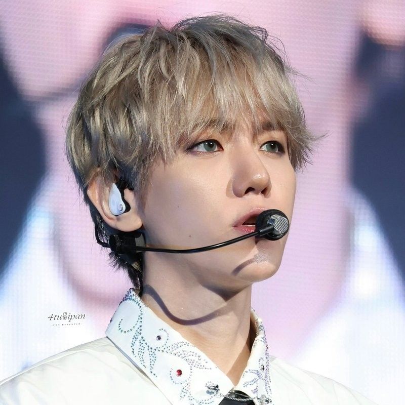 伯賢 (EXO)的最新照片