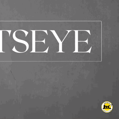 Recent activity shot of KATSEYE