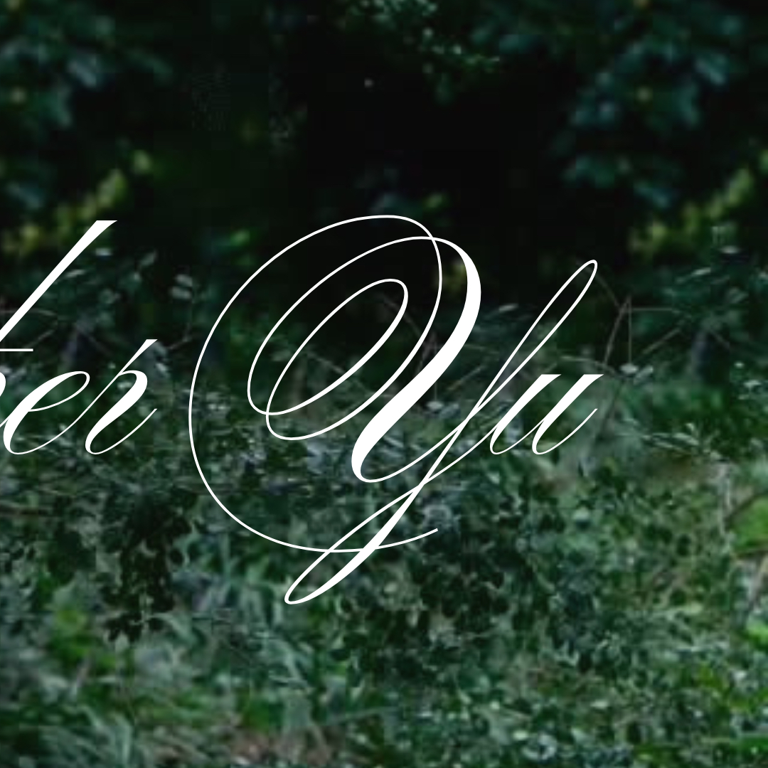 A moment captured by Esther Yu's fan