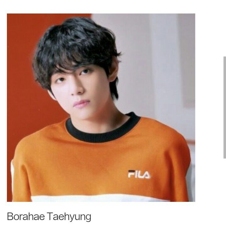 V (BTS)ファンが撮った瞬間