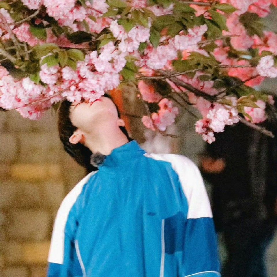 A moment captured by The 8 (SEVENTEEN)'s fan