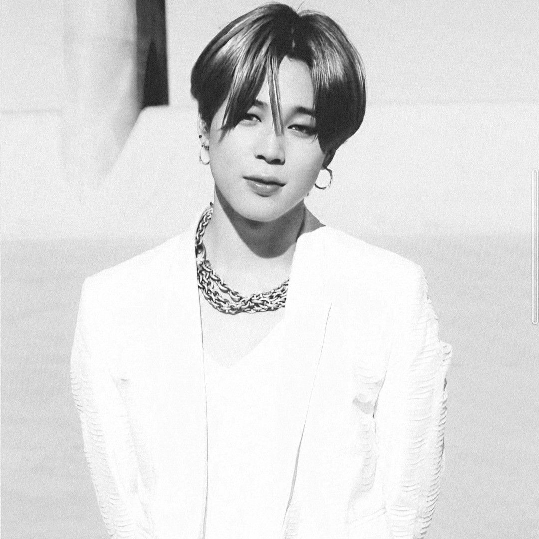 지민 (방탄소년단) 팬이 찍은 순간