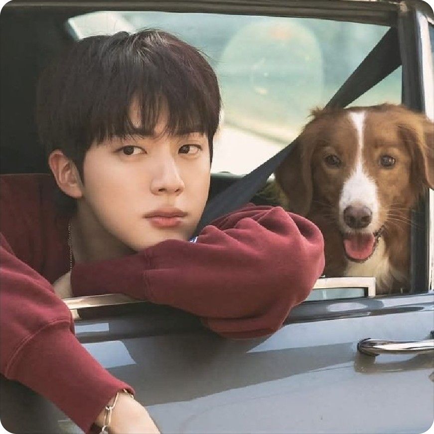 진 (방탄소년단) 팬이 찍은 순간