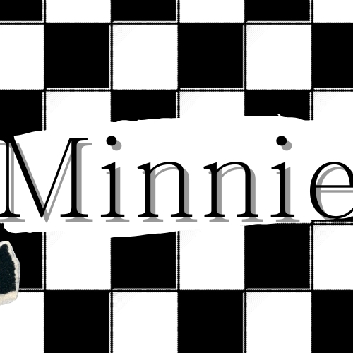 A moment captured by Minnie (i-dle)'s fan