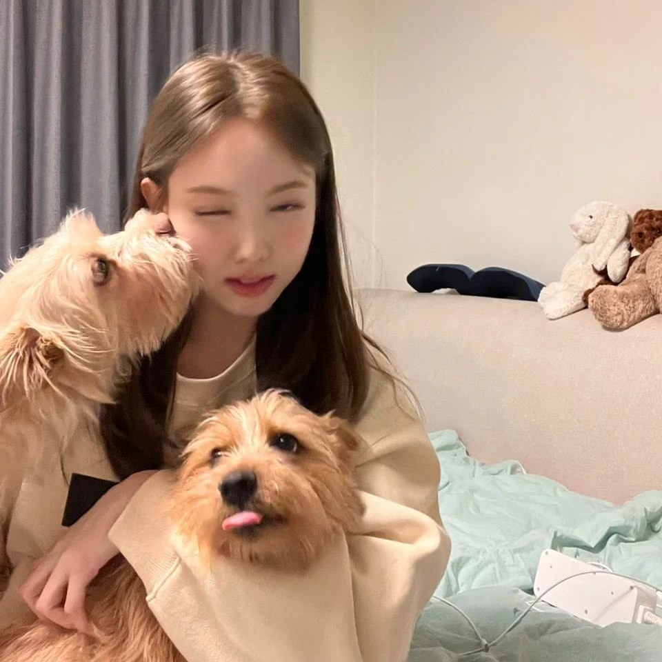 娜璉 (TWICE)粉絲拍下的瞬間