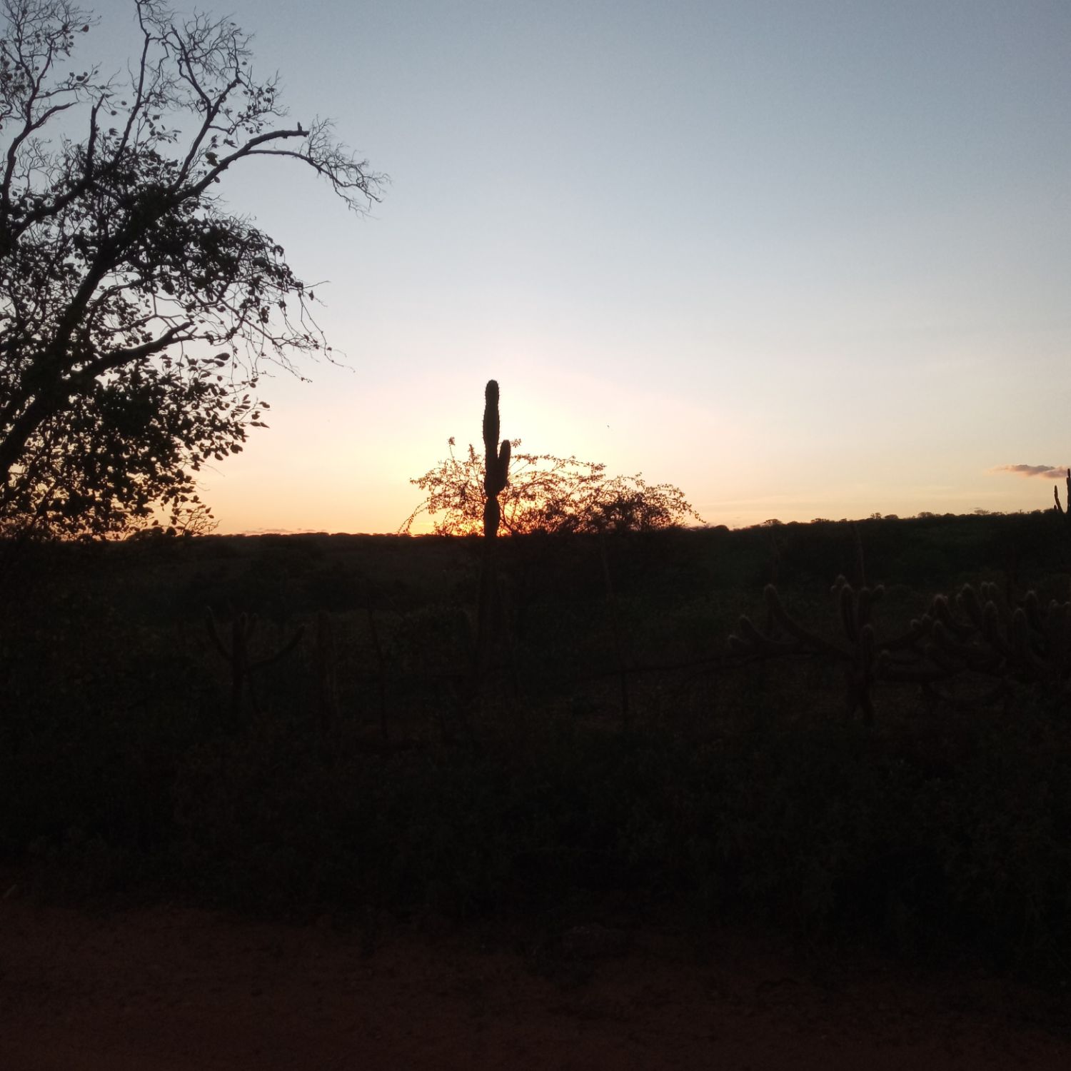 Behind-the-scenes cut of MONSTA X