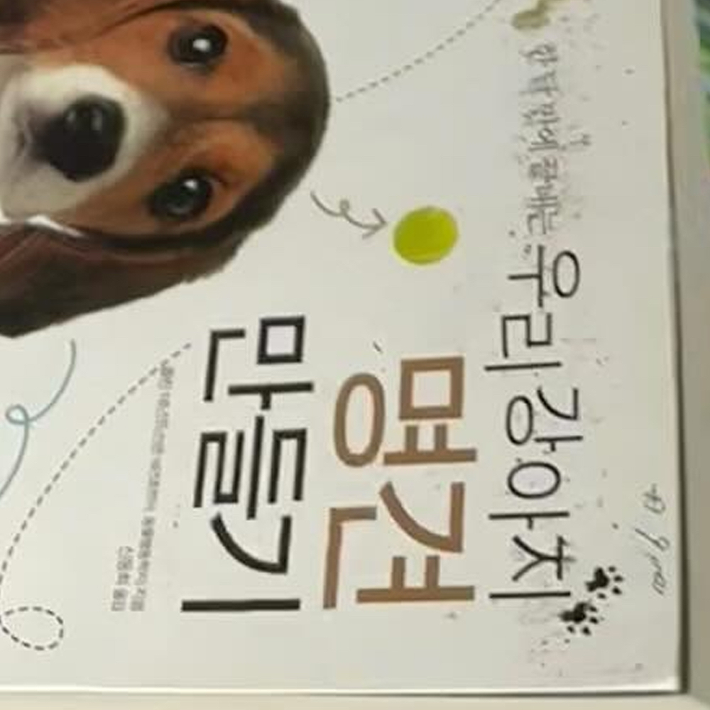 Behind-the-scenes cut of Go Won (Loossemble)