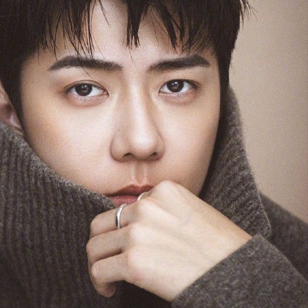 세훈 (EXO) 최근 활동샷
