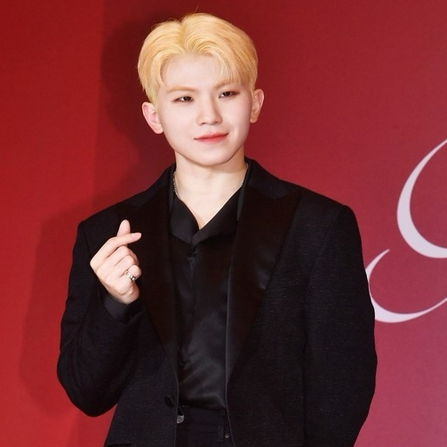 Recent activity shot of Woozi (SEVENTEEN)