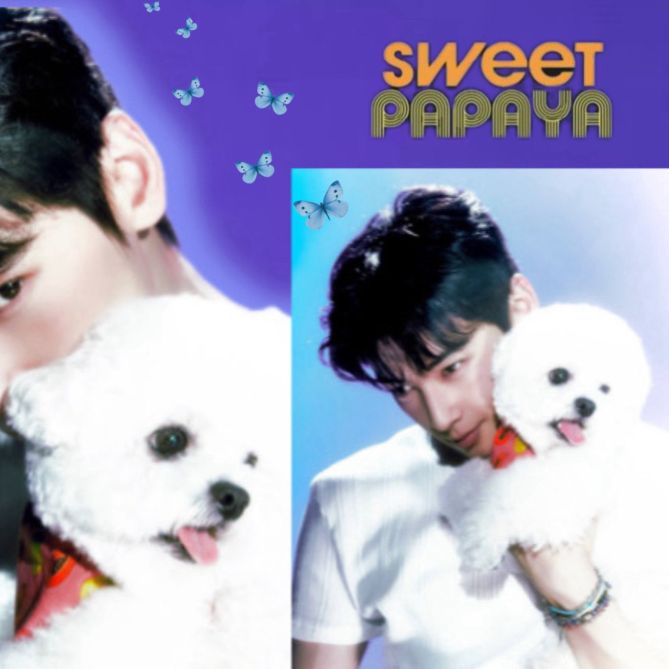 A moment captured by Eunwoo (ASTRO)'s fan