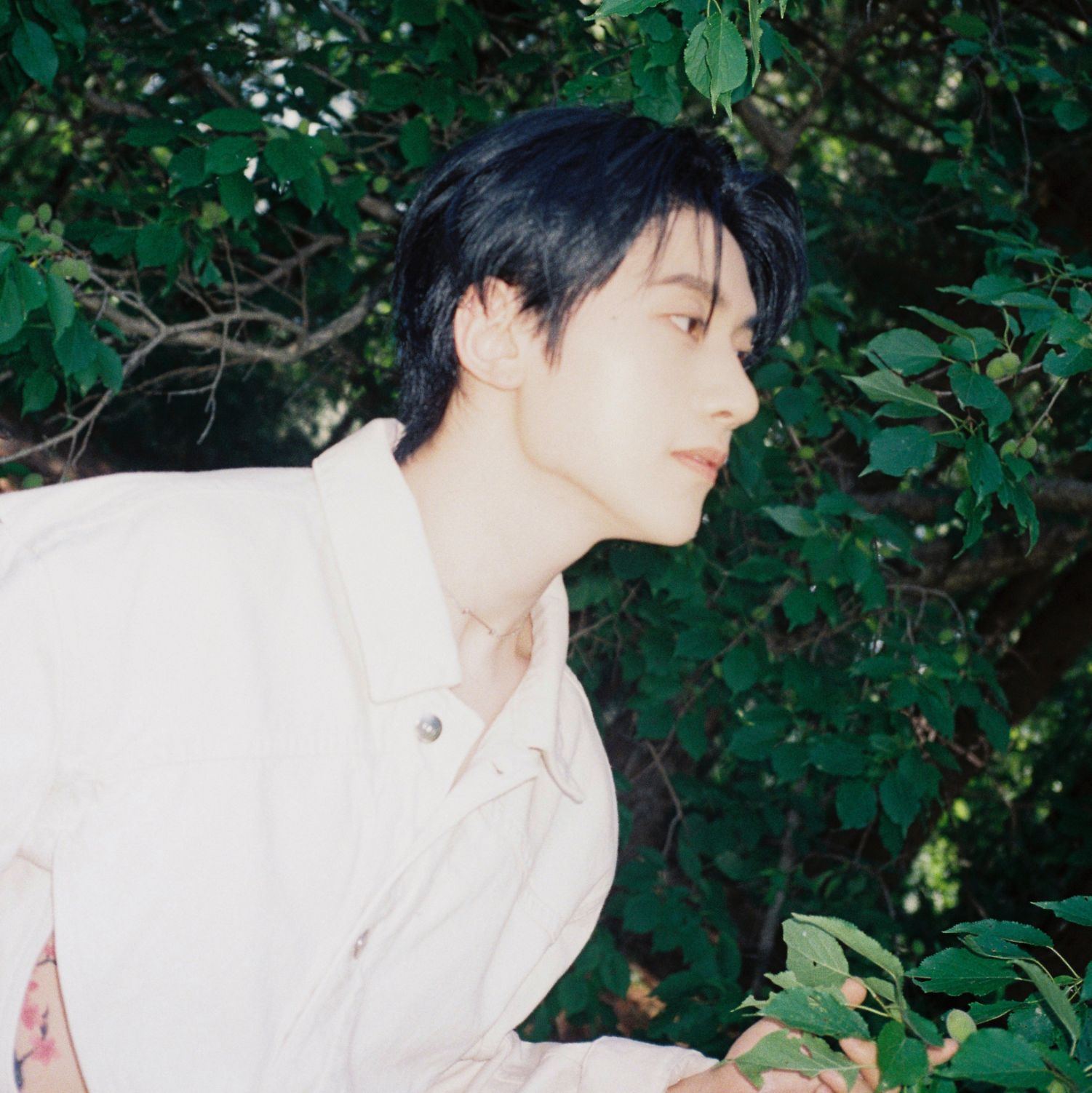 Recent activity shot of Seok Matthew (ZEROBASEONE)
