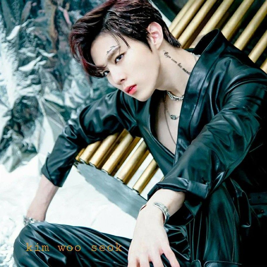 Recent activity shot of Kim Wooseok
