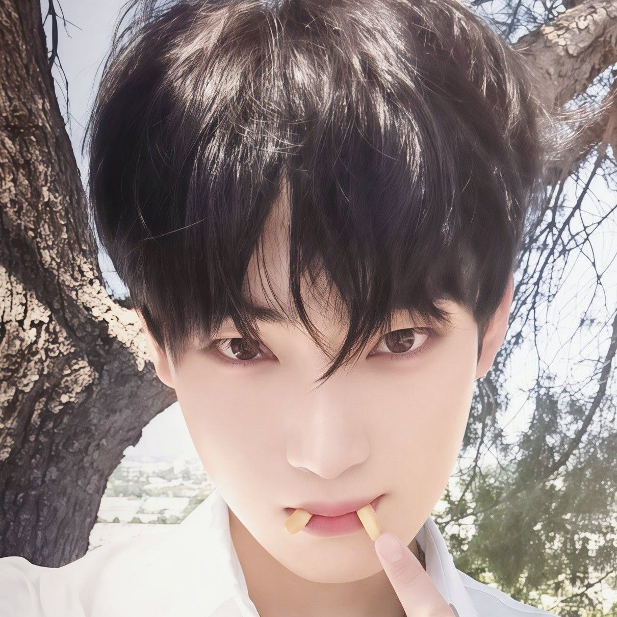 선우 (ENHYPEN) 최근 활동샷