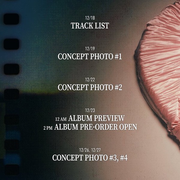 Popular profile picture of Apink loved by fans