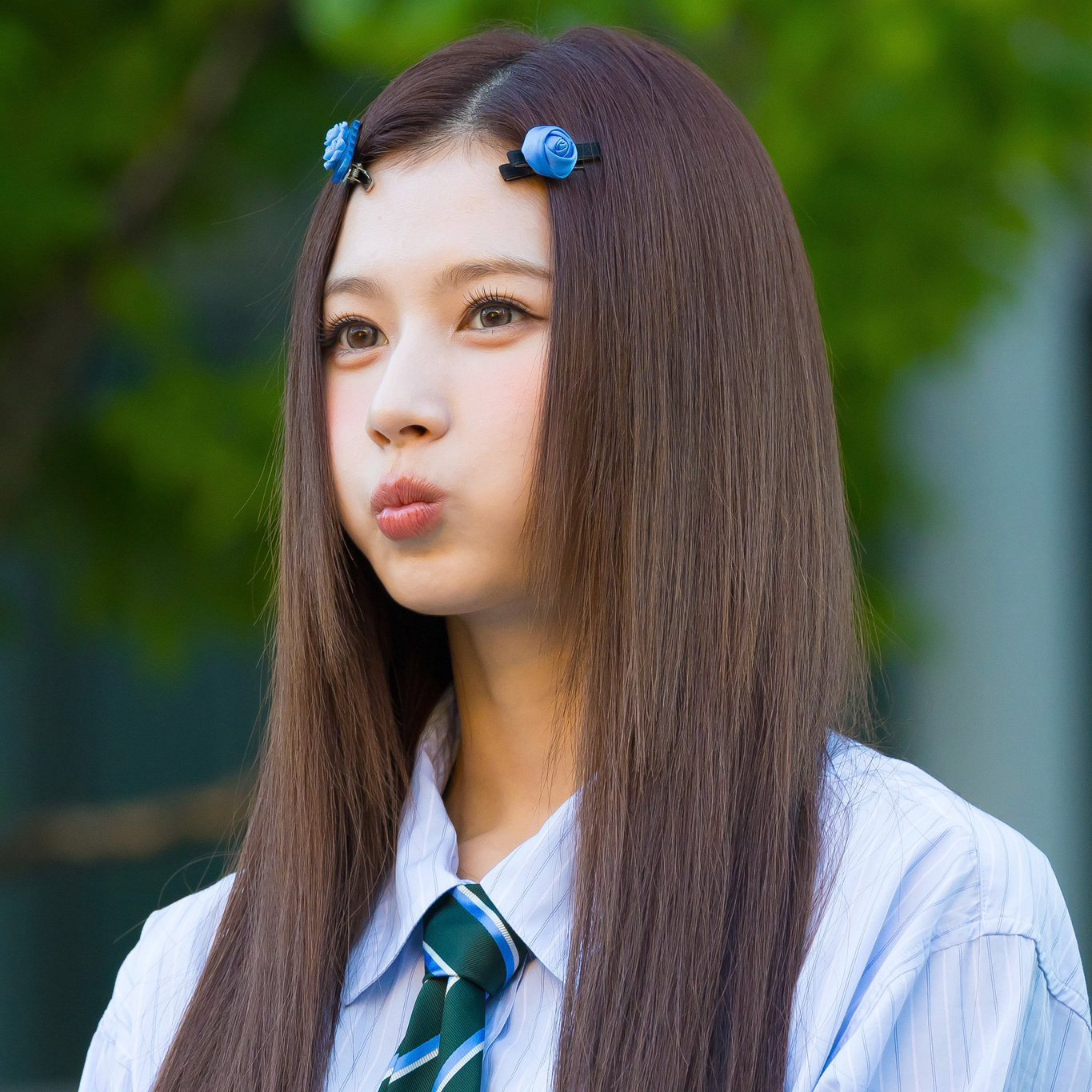 Sana (TWICE)粉丝拍下的瞬间