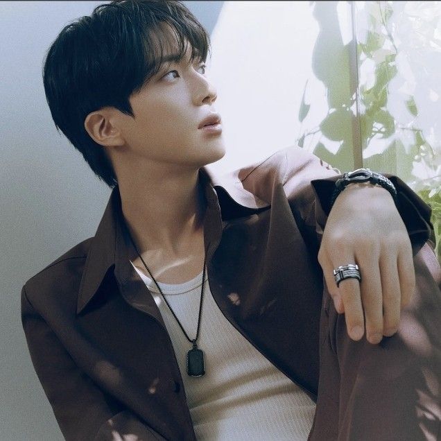 Behind-the-scenes cut of Jin (BTS)