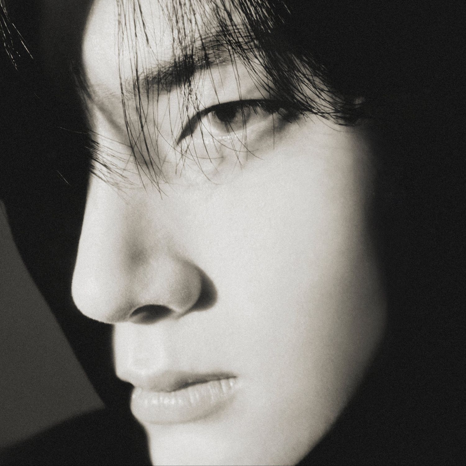 ENHYPEN 팬이 찍은 순간