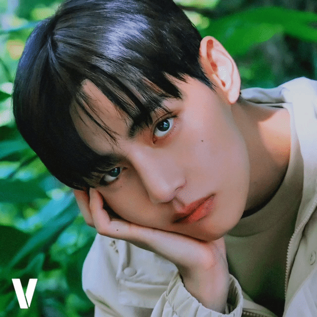 Potret di balik layar V (BTS)