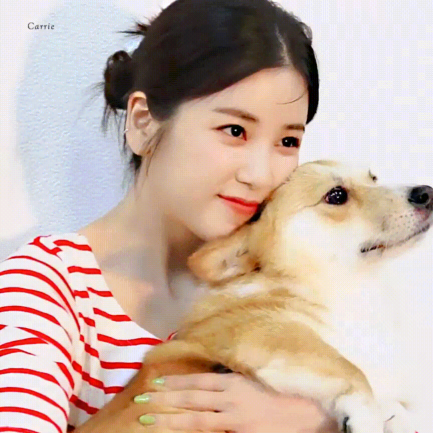 朴初珑 (Apink)的最新照片