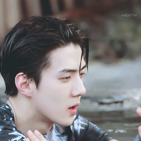 Recent activity shot of Sehun (EXO)