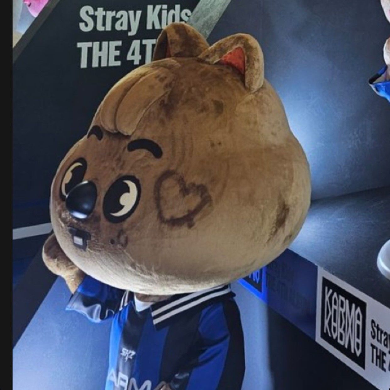 A moment captured by HAN (Stray Kids)'s fan