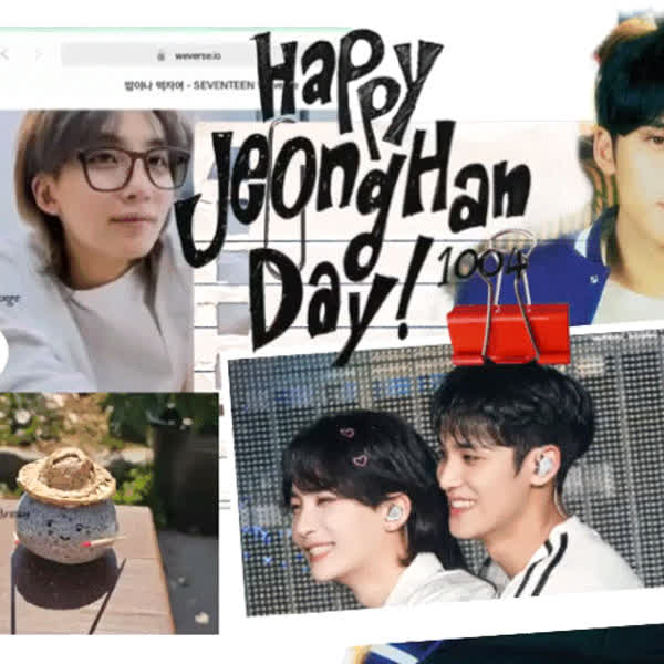 Best moment chosen by Mingyu (SEVENTEEN) fandom
