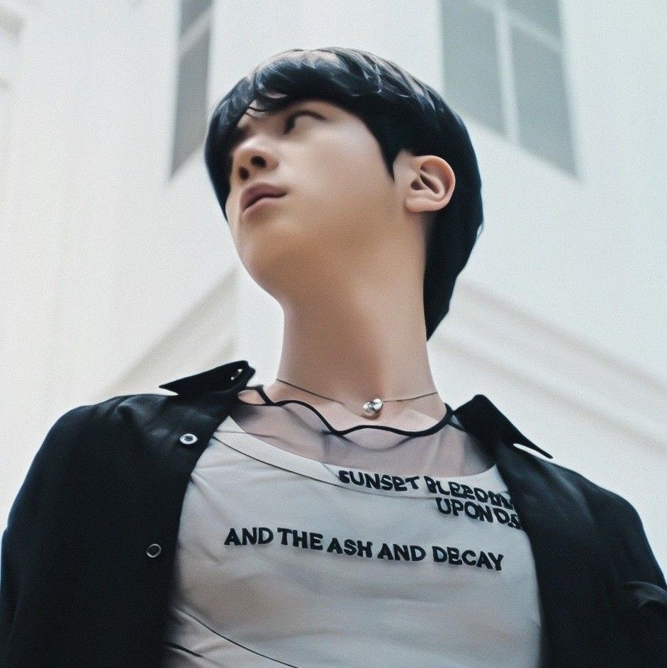 A moment captured by Jin (BTS)'s fan