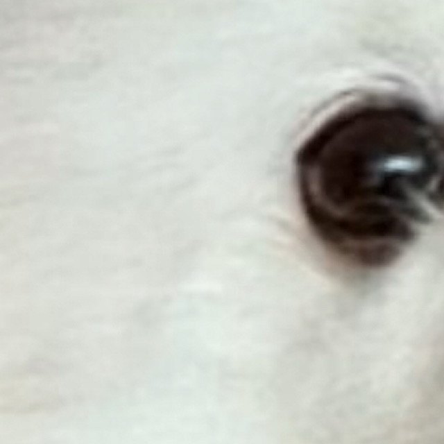 Behind-the-scenes cut of Ravn
