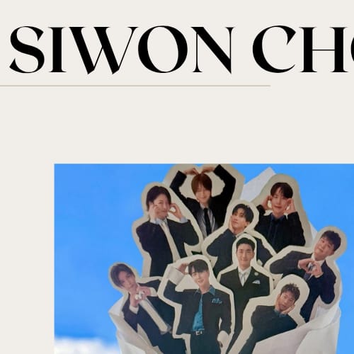 始源 (Super Junior)的幕後花絮