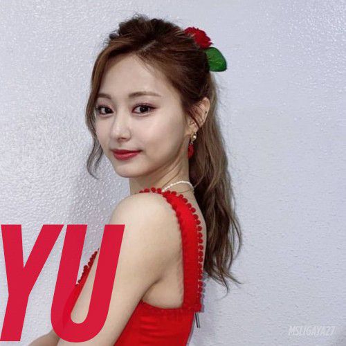 ツウィ (TWICE)ファンが撮った瞬間