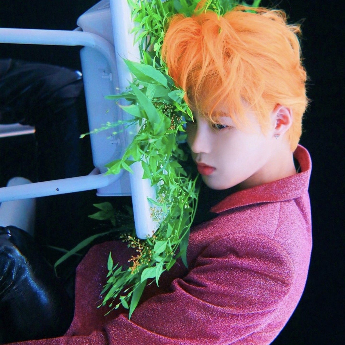 Foto terbaru Ha Sungwoon