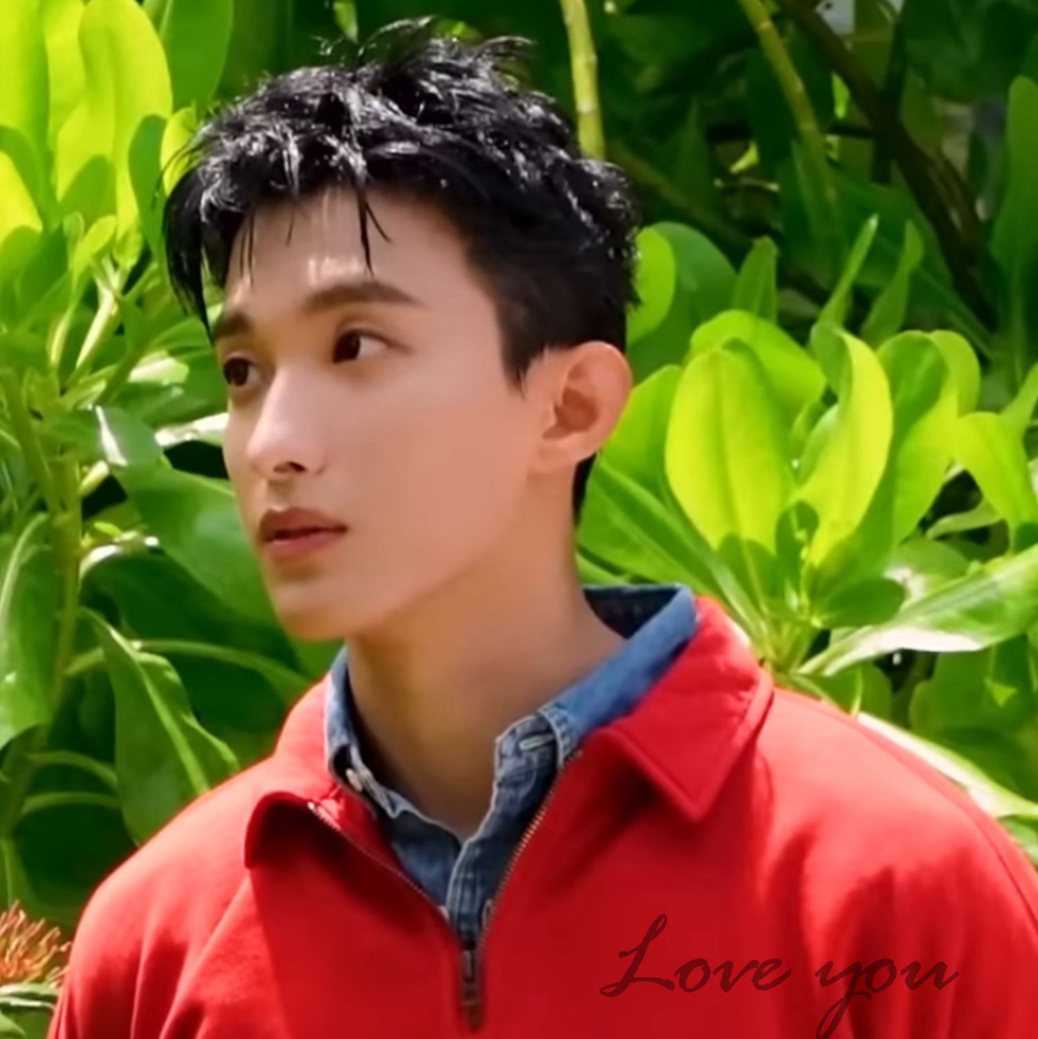 DK (SEVENTEEN)粉絲拍下的瞬間