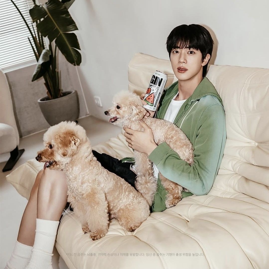 진 (방탄소년단) 팬이 찍은 순간