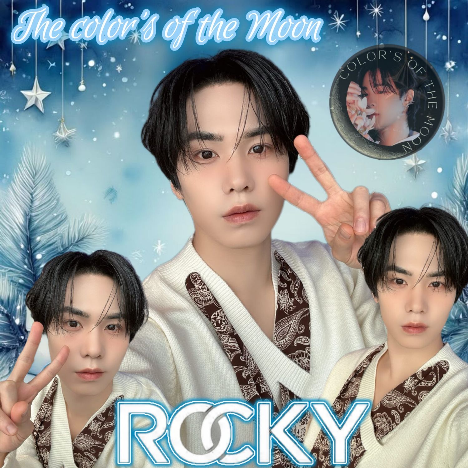 Recent activity shot of Rocky