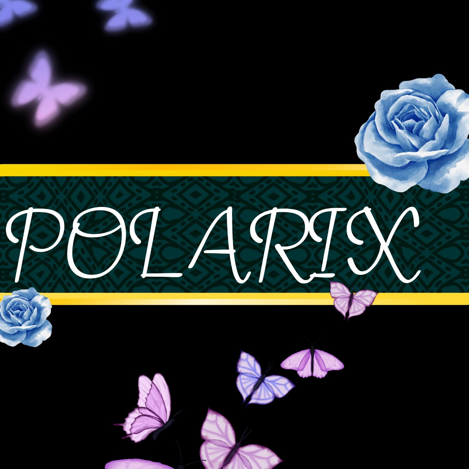 Behind-the-scenes cut of POLARIX