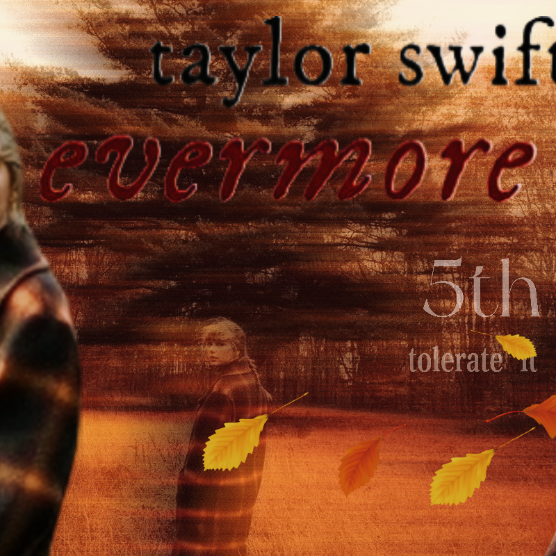 A moment captured by Taylor Swift's fan