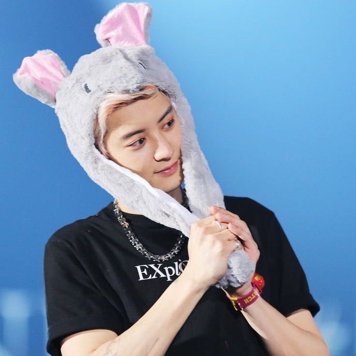 燦烈 (EXO)的最新照片