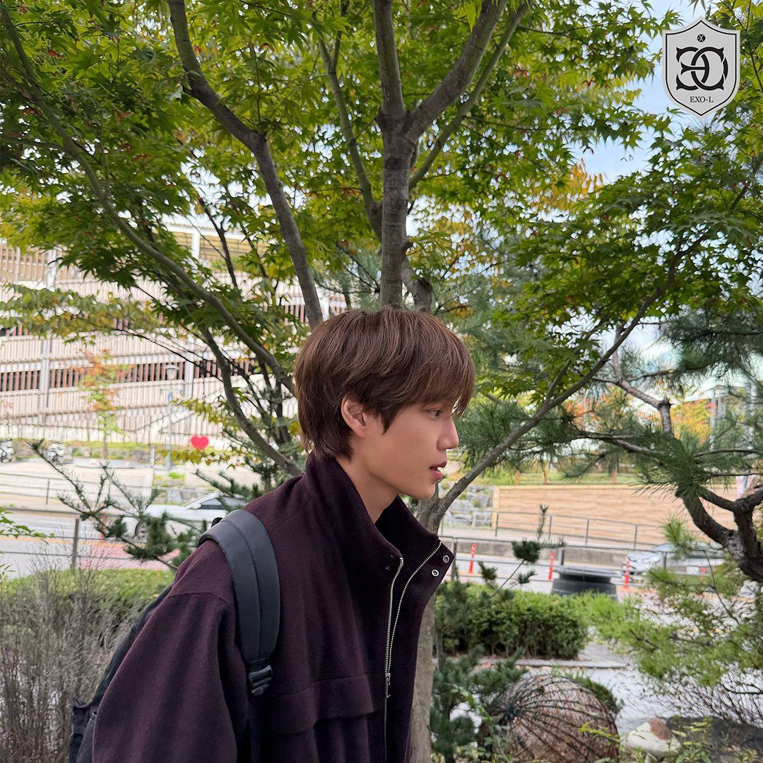 Recent activity shot of Kai (EXO)