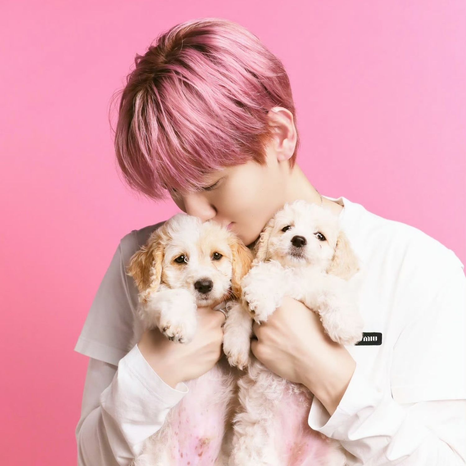 Latest photo of Baekhyun (EXO)