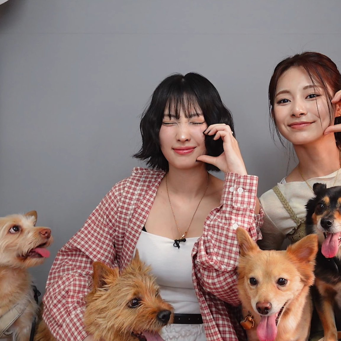Recent activity shot of Momo (TWICE)