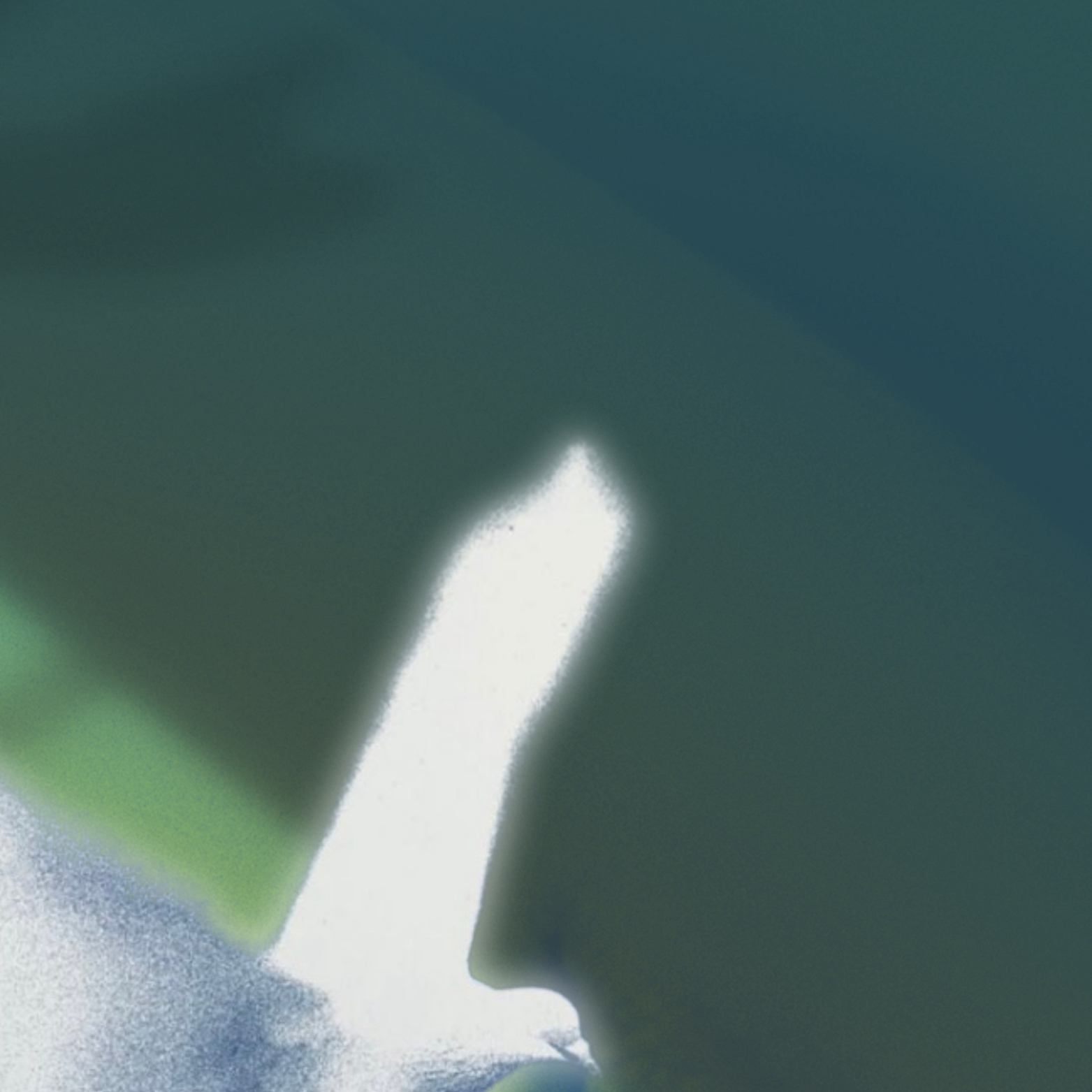 Foto aktivitas terbaru Lee Leo (ALPHA DRIVE ONE)