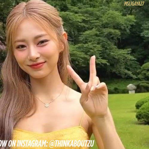 A moment captured by Tzuyu (TWICE)'s fan