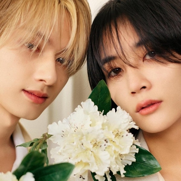 Recent activity shot of SEVENTEEN