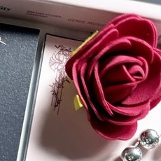 A moment captured by Siyeon (DREAMCATCHER)'s fan