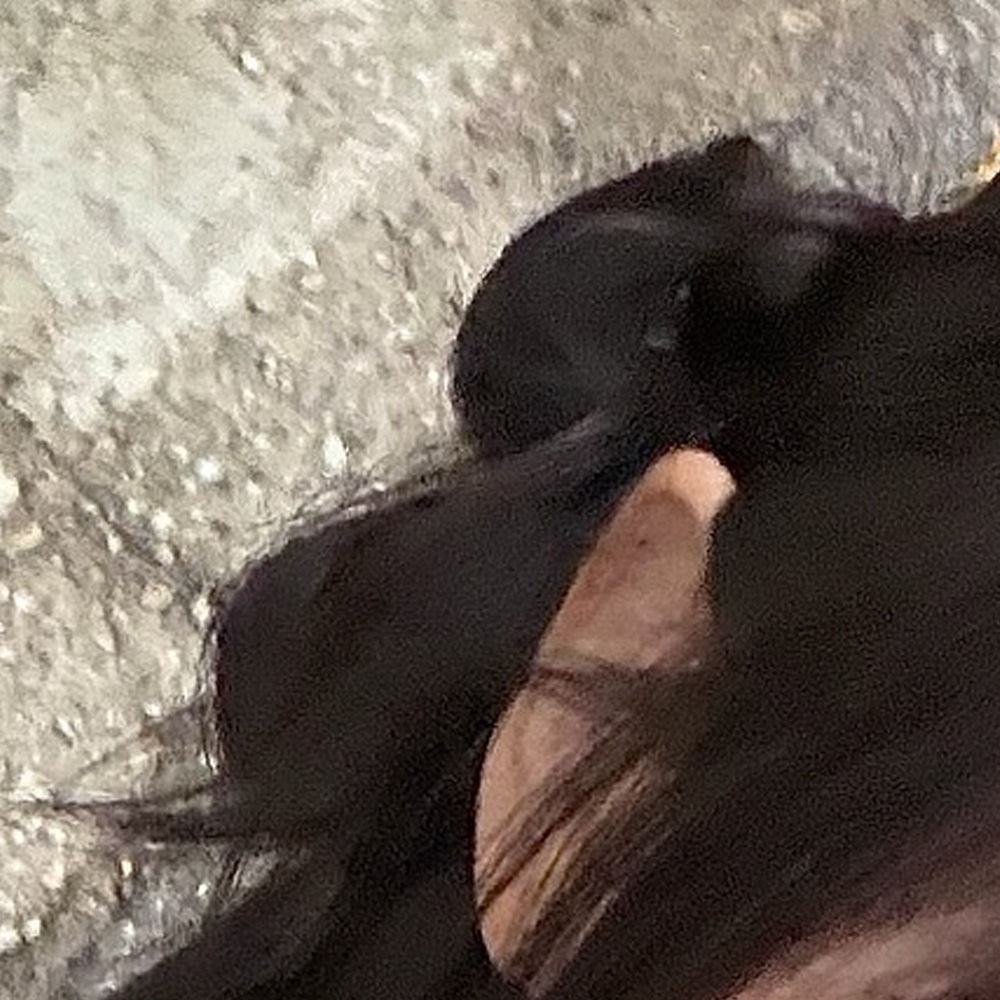 Recent activity shot of HyunJin (Loossemble)