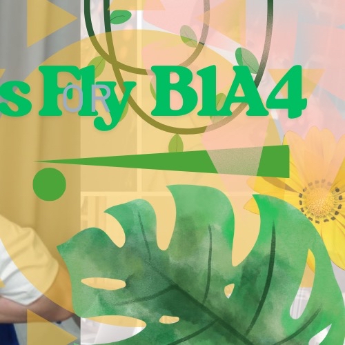 Recent activity shot of B1A4