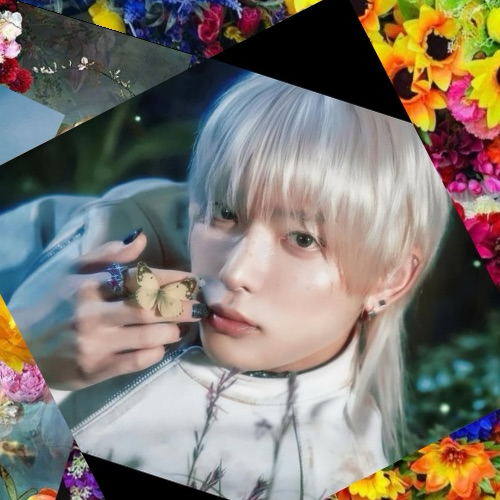 A moment captured by Harua (&TEAM)'s fan